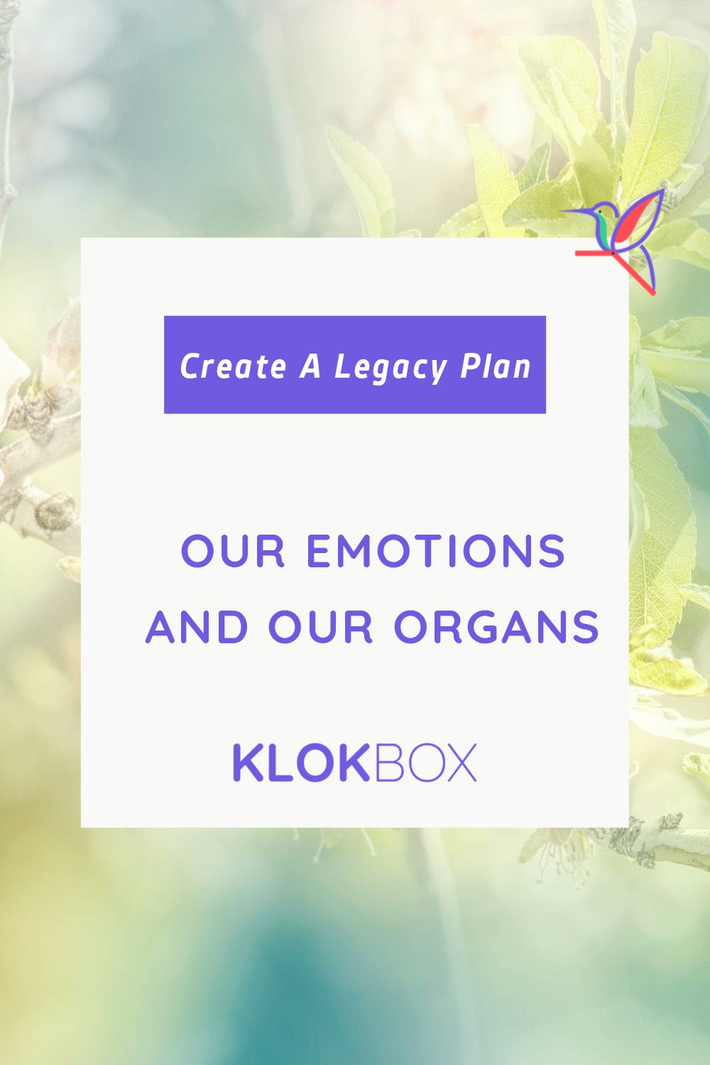 Our Emotions and Our Organs. How To Eat For Your Health