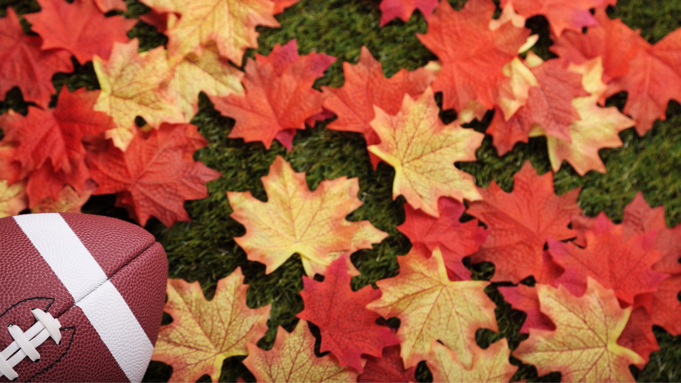 Play a game of touch football