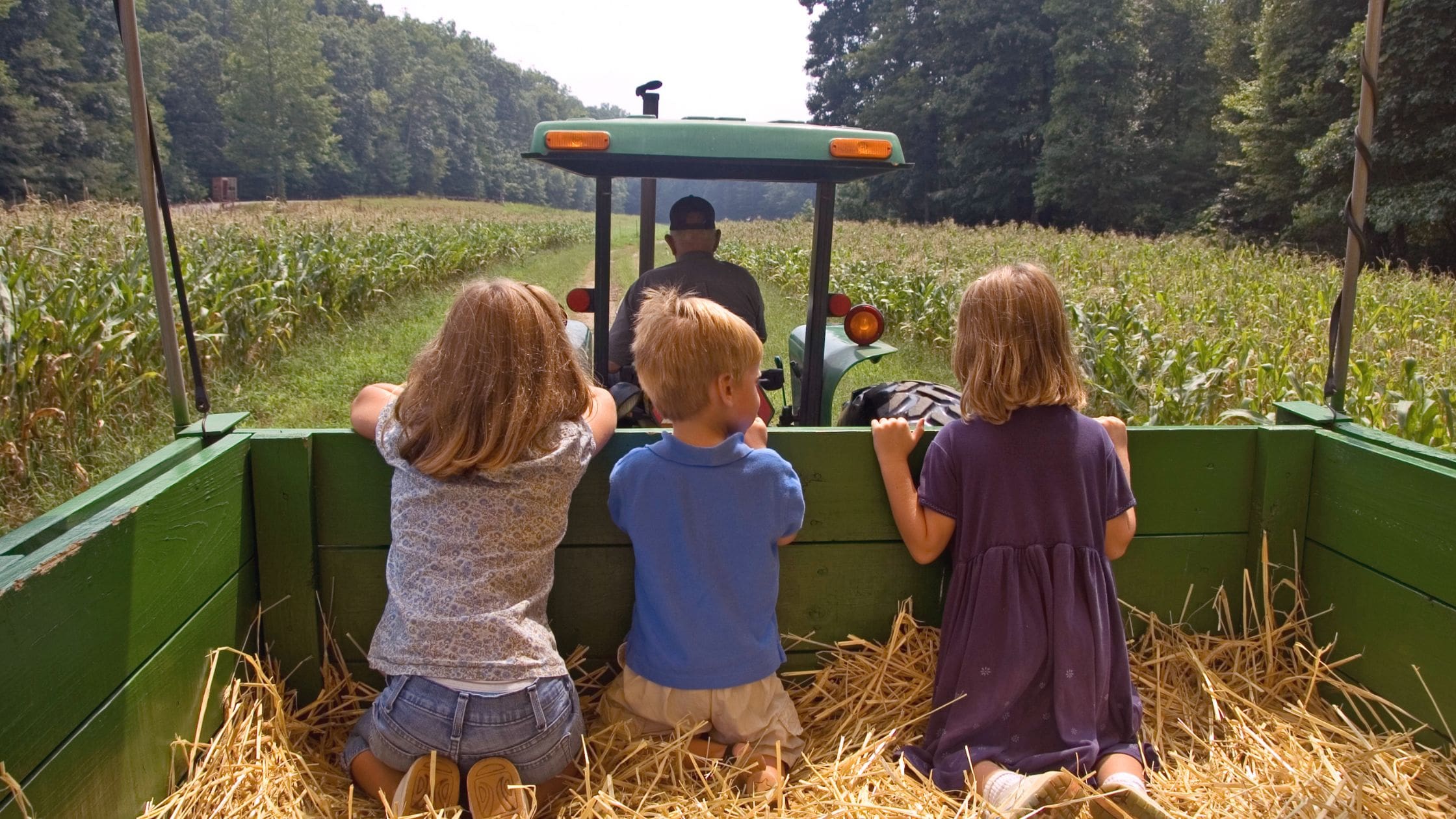 Go on a hayride