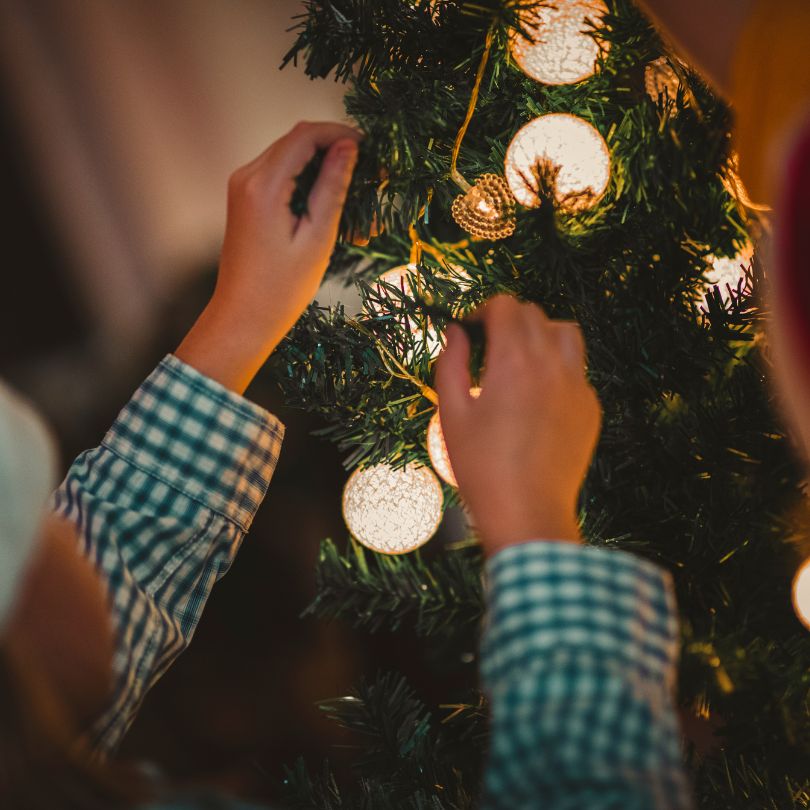 Gift a Tree, Spread the Cheer