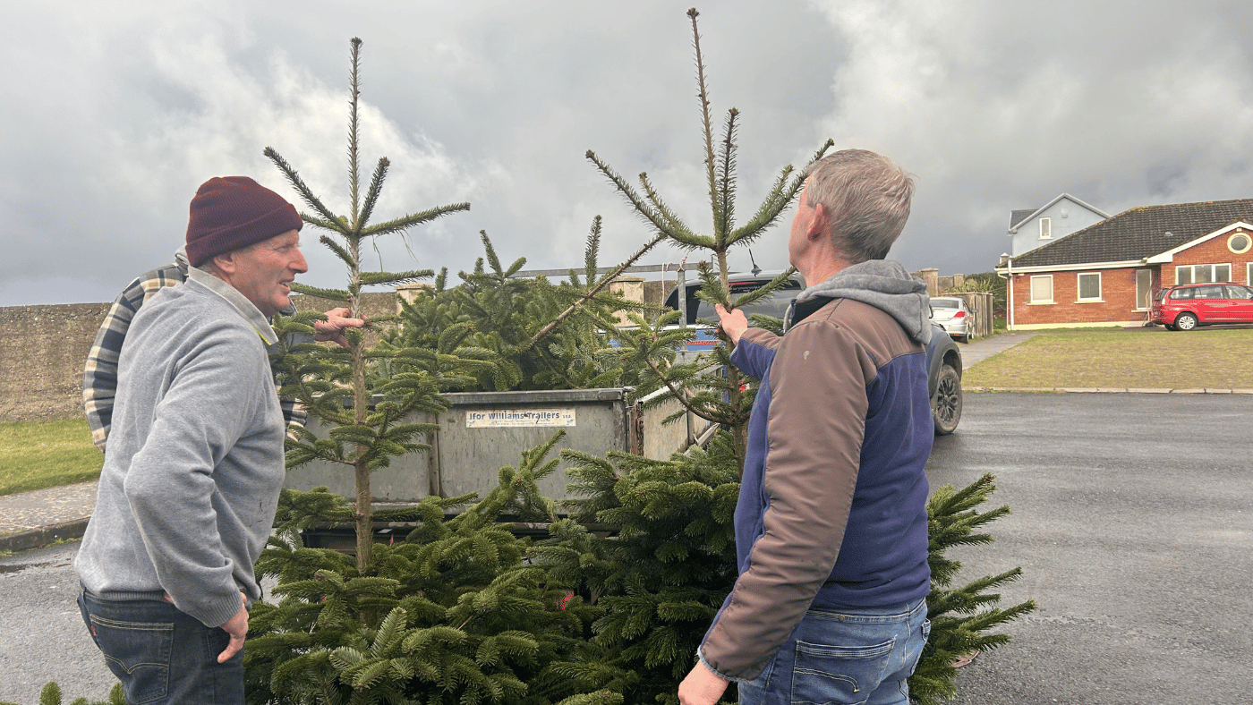Don Culloty founder of Klokbox delivering Christmas trees to Respond Housing